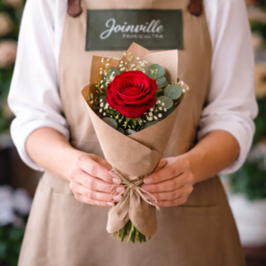 Rosas Vermelhas Pequeno